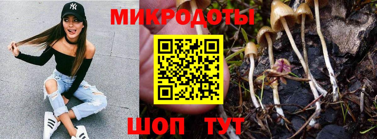 Галлюциногенные грибы MAGIC MUSHROOMS Уварово