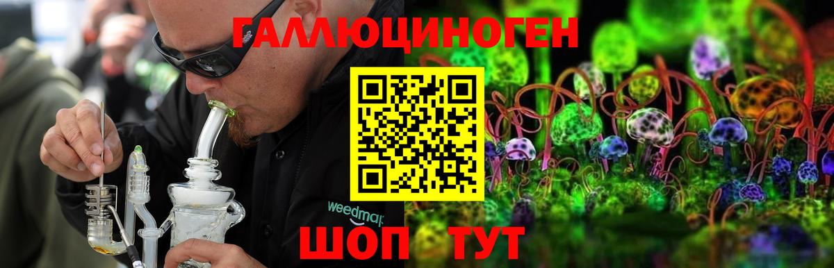 Галлюциногенные грибы Cubensis  Галлюциногенные грибы Psilocybine cubensis  Уварово 